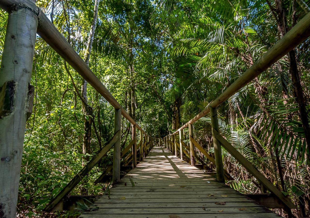 Hotel Manuel Antonio Bagian luar foto